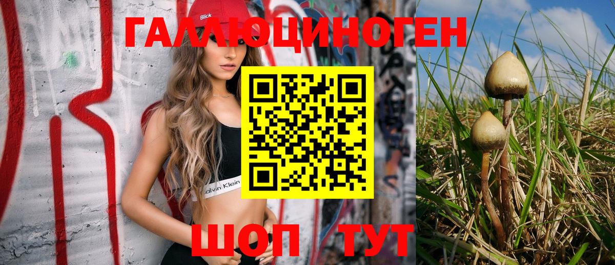 Арзамас  купить наркоту  Вход с VPN  Галлюциногенные грибы Cubensis 