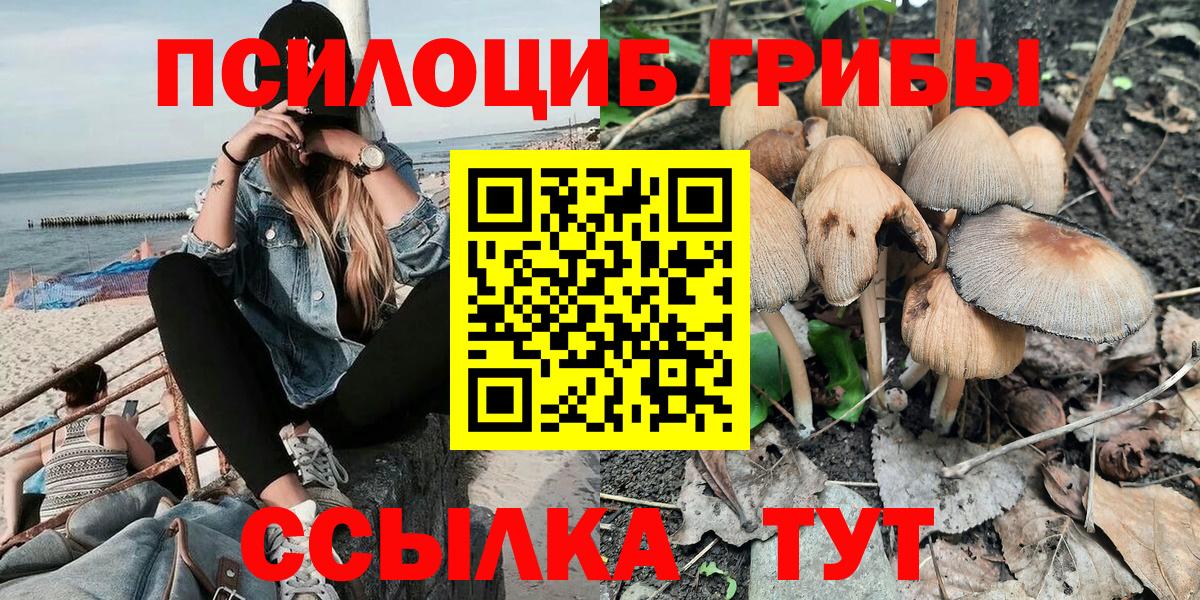 Псилоцибиновые грибы Cubensis Арзамас